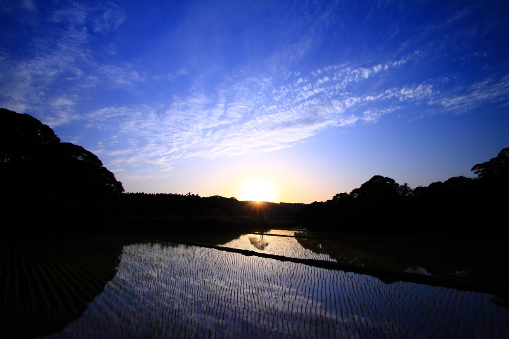 春の空気･･･。