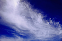 雲の流れに･･･。