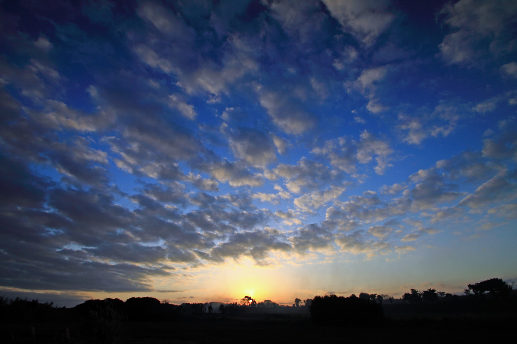 夕日