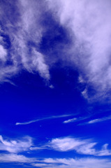 白い雲のように･･･。
