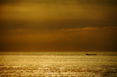 金色の海