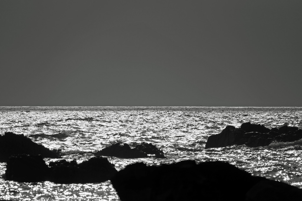 海