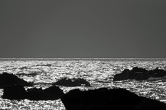 海