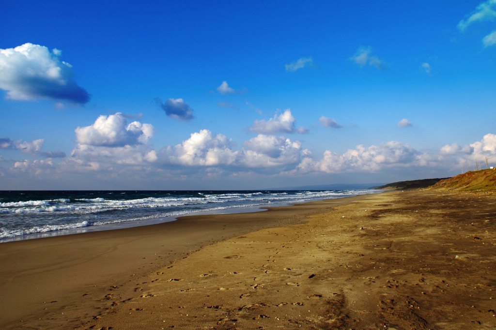 海岸にて