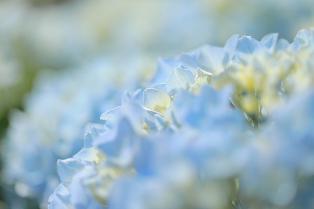 Enjoy Saturday(Part 2)･･･。