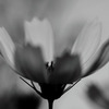 秋を感じて