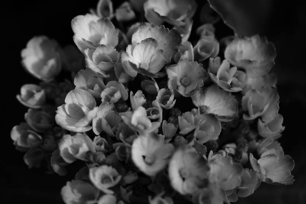 Enjoy Saturday(Part 4)･･･。