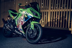 Ninja250