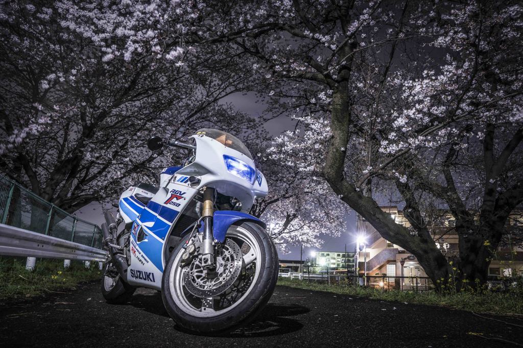夜桜とガンマ