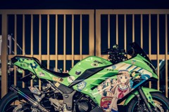 Ninja250