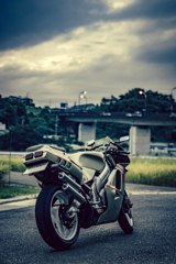 SUZUKI RGV250γ