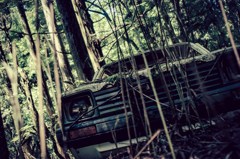 草むらのヒーロー 廃アルト
