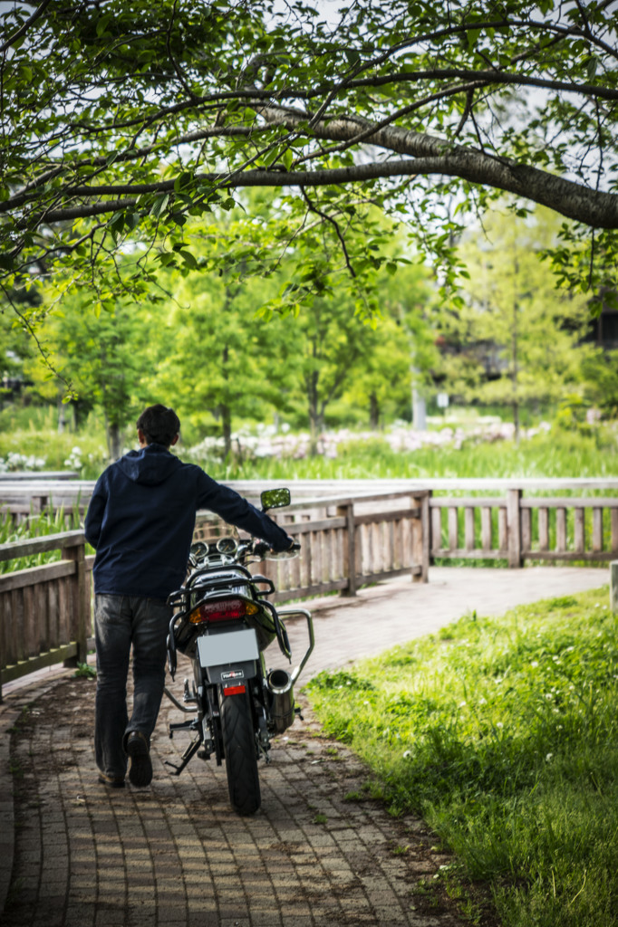 厚木市 公園 YBR