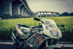 SUZUKI RGV250γ