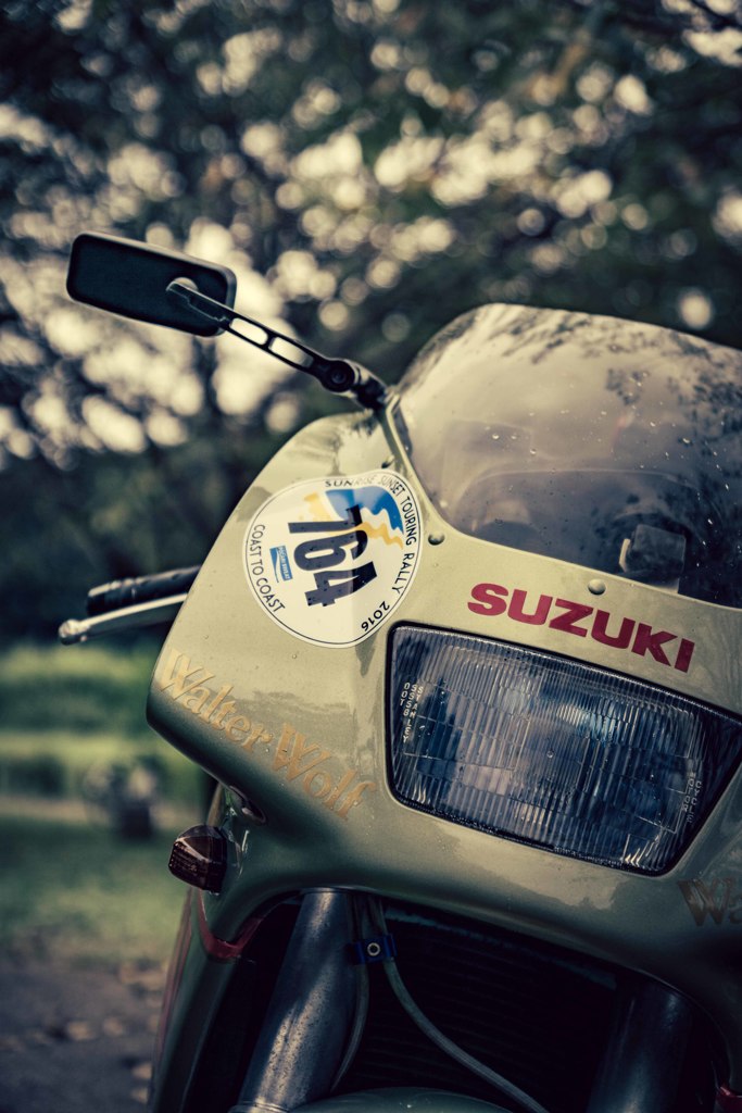 SUZUKI RGV250γ