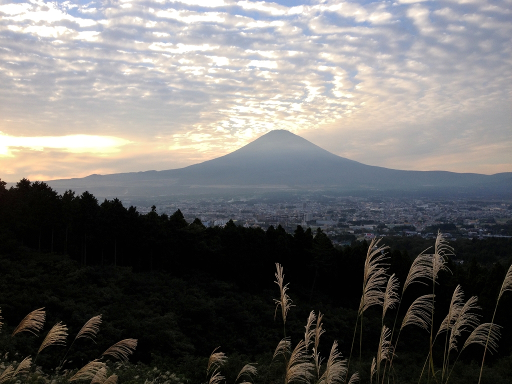 御殿場市街とススキに富士山、、、。