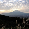 御殿場市街とススキに富士山、、、。