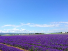 北海道　美瑛町