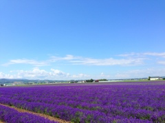 北海道　美瑛町