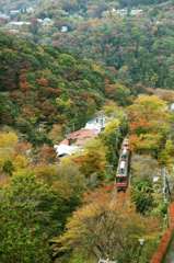 箱根登山鉄道と紅葉、、、。