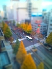 晩秋の、川崎市役所通り