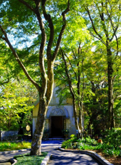 箱根の森の教会