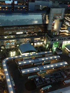 京都駅を見下ろして、、、。