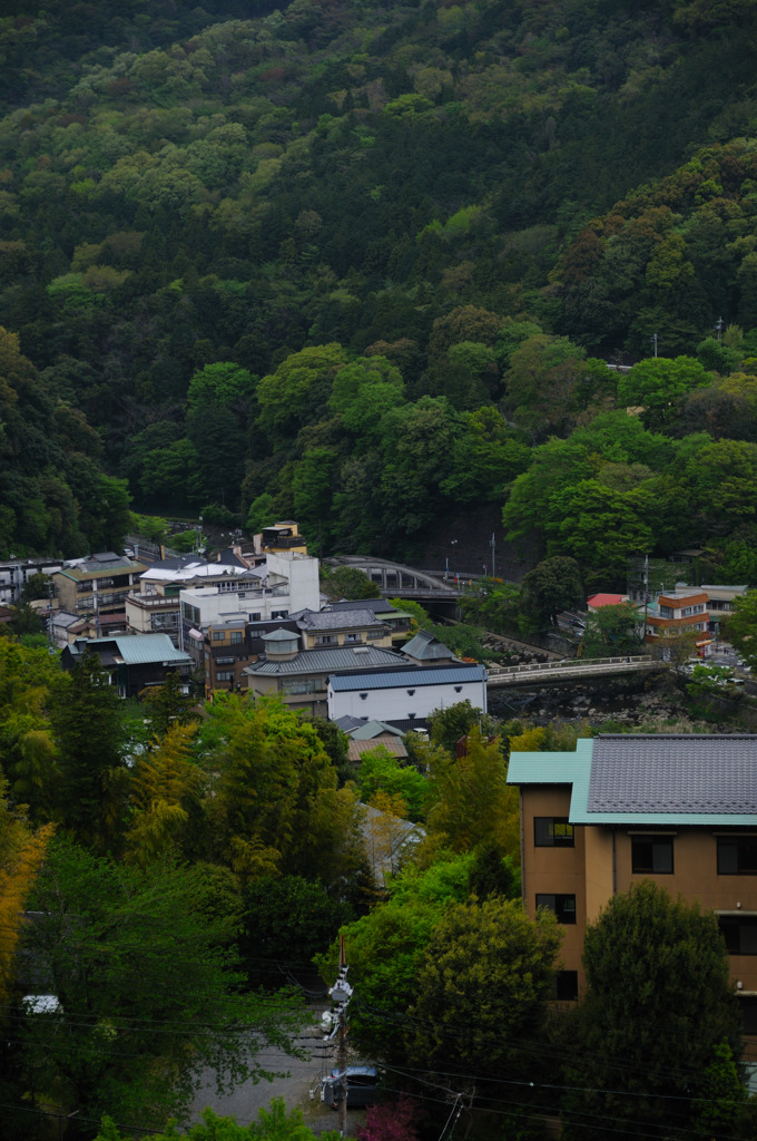 あうら橘⑤