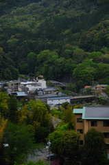 あうら橘⑤