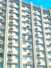 規格化された住まい、