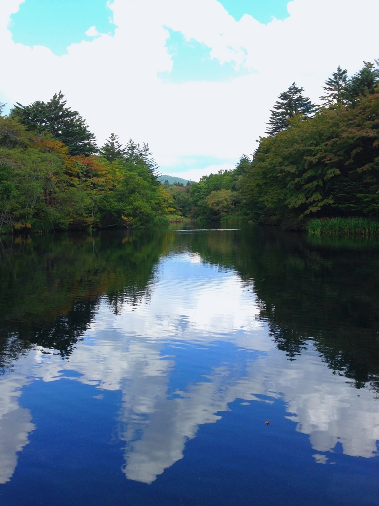 軽井沢「雲場池」、、、。