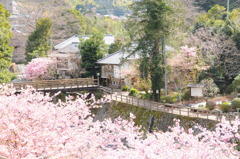 伊豆河津町　福田家