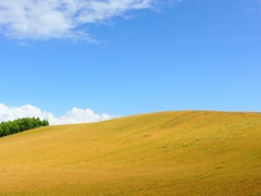 北海道　美瑛町