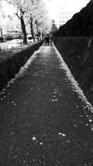 RIMG0649