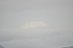 DSC_1240