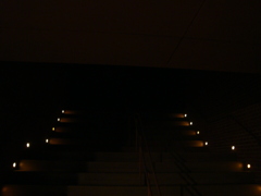 DSC00707