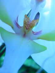 RIMG0709