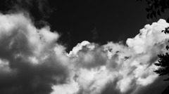 RIMG0283
