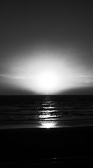 RIMG0698