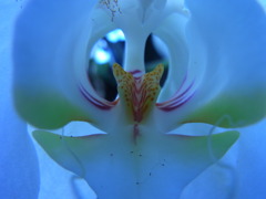 RIMG0711