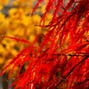花火のように