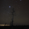 海と木と星