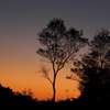 秋の夕暮れ