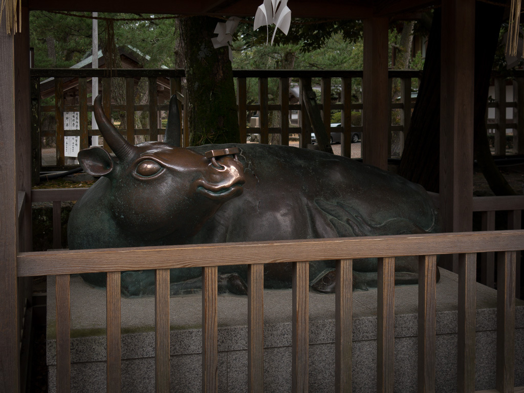 神牛