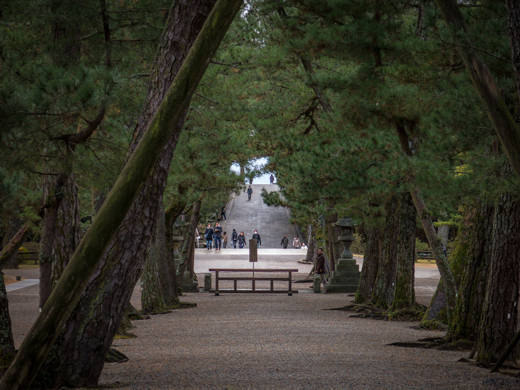 松の参道