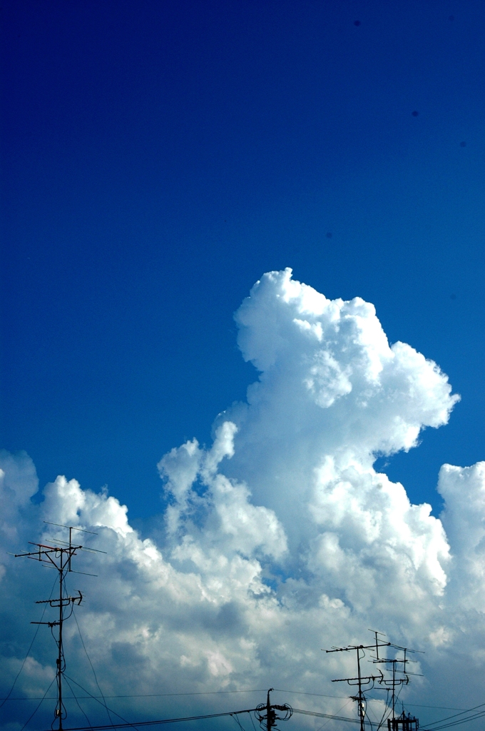 夏空