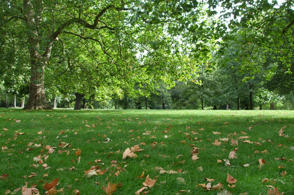 Hyde Park, LONDON