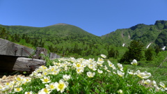 岩手山