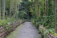 道