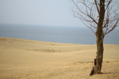 鳥取砂丘と日本海